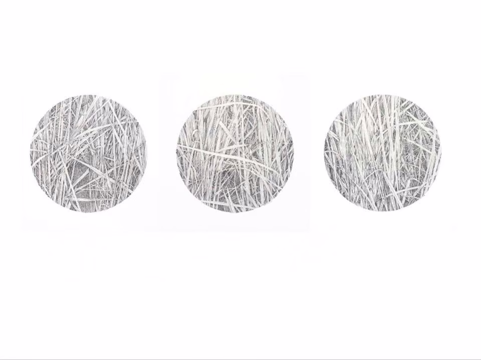 Artwork 1